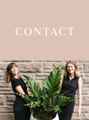 page contact et les deux proprietaires avec plante